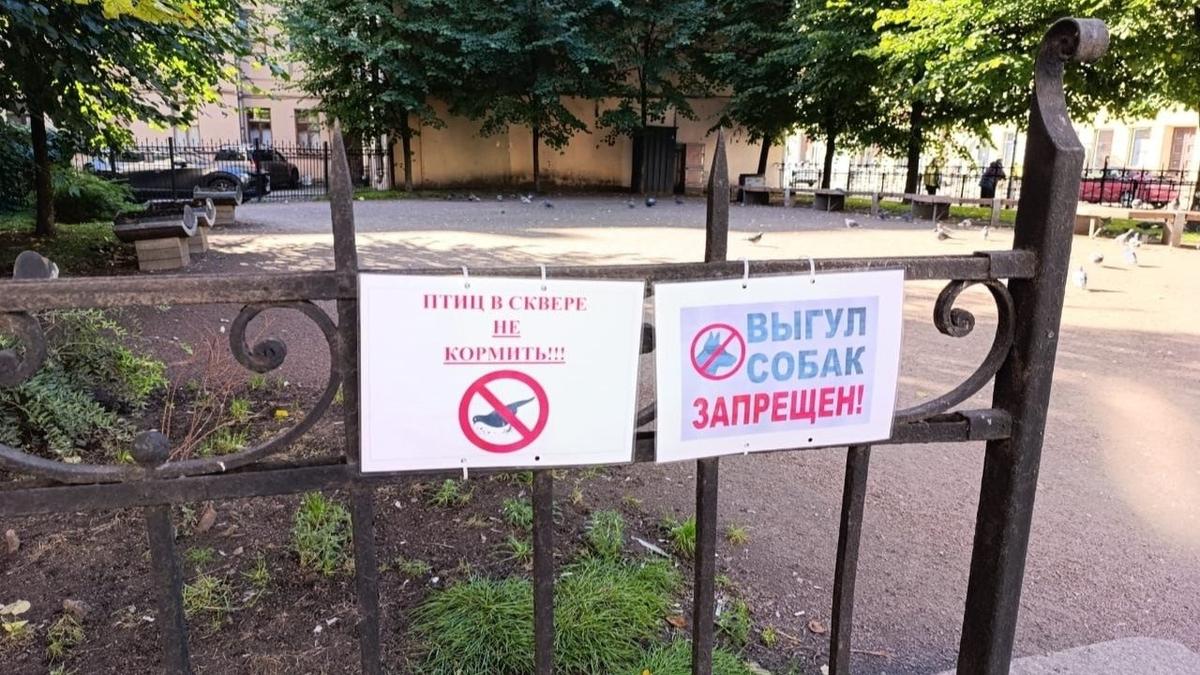 Фото: комитет по благоустройству