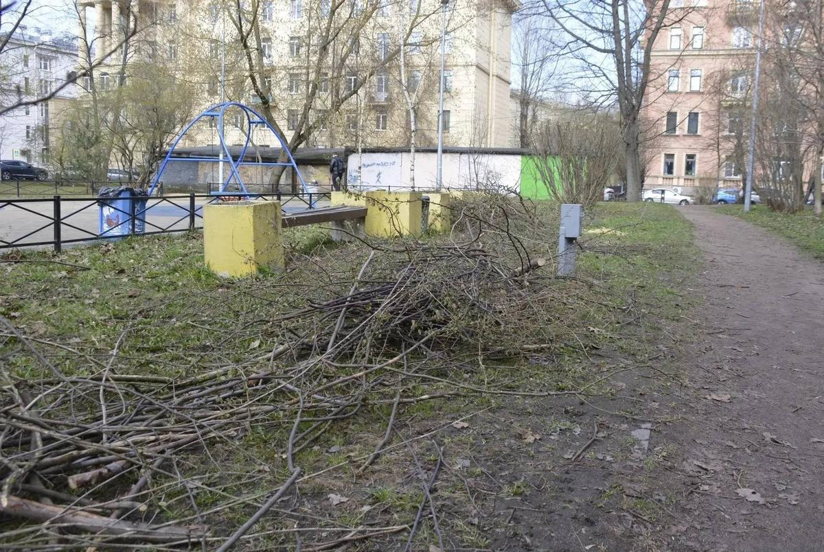 Фото: КСП Петербурга