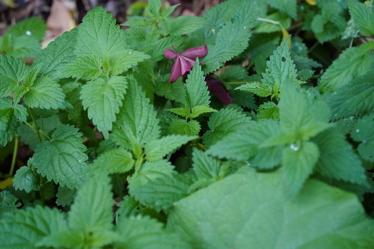 Фото: Павел Борисенко / MR7