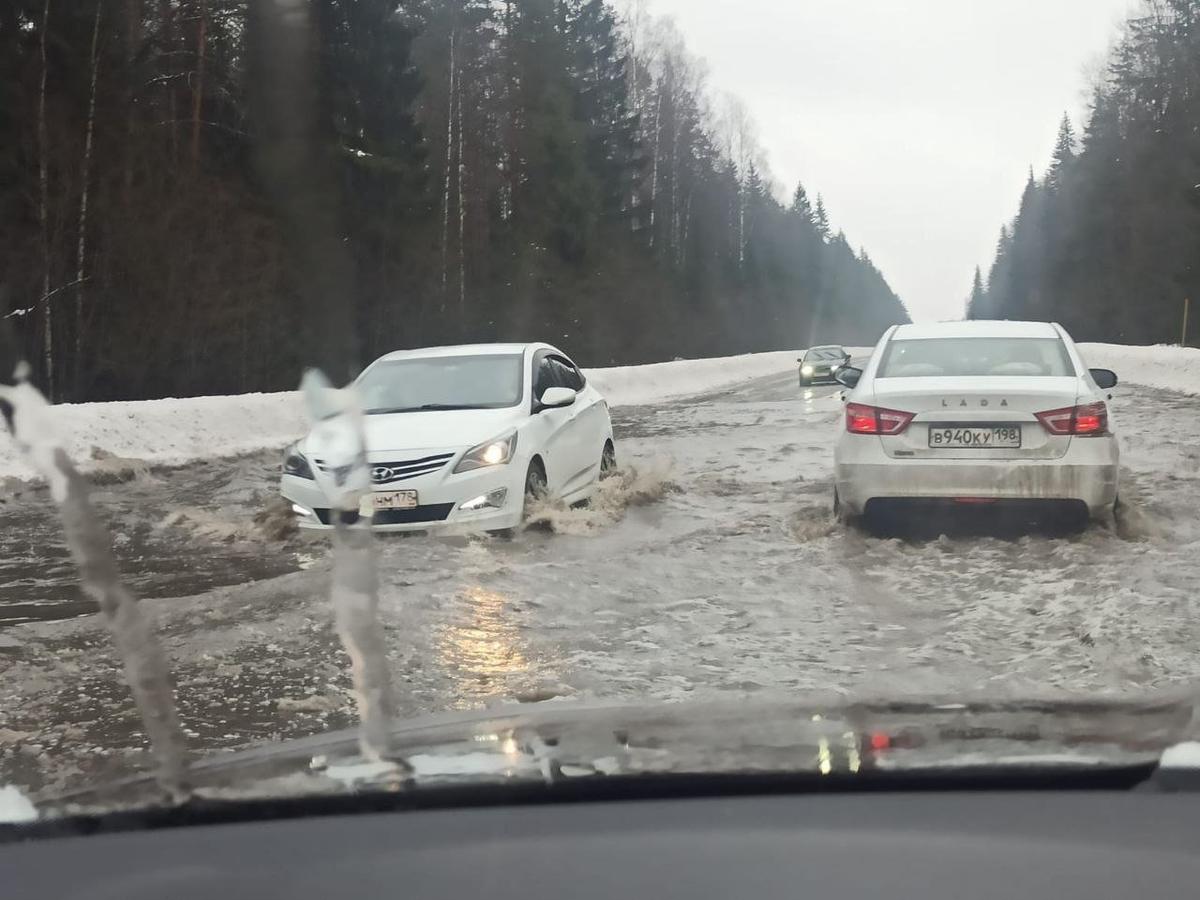 Потоп на Выборгском шоссе. Фото: Telegram-канал «Мегаполис»