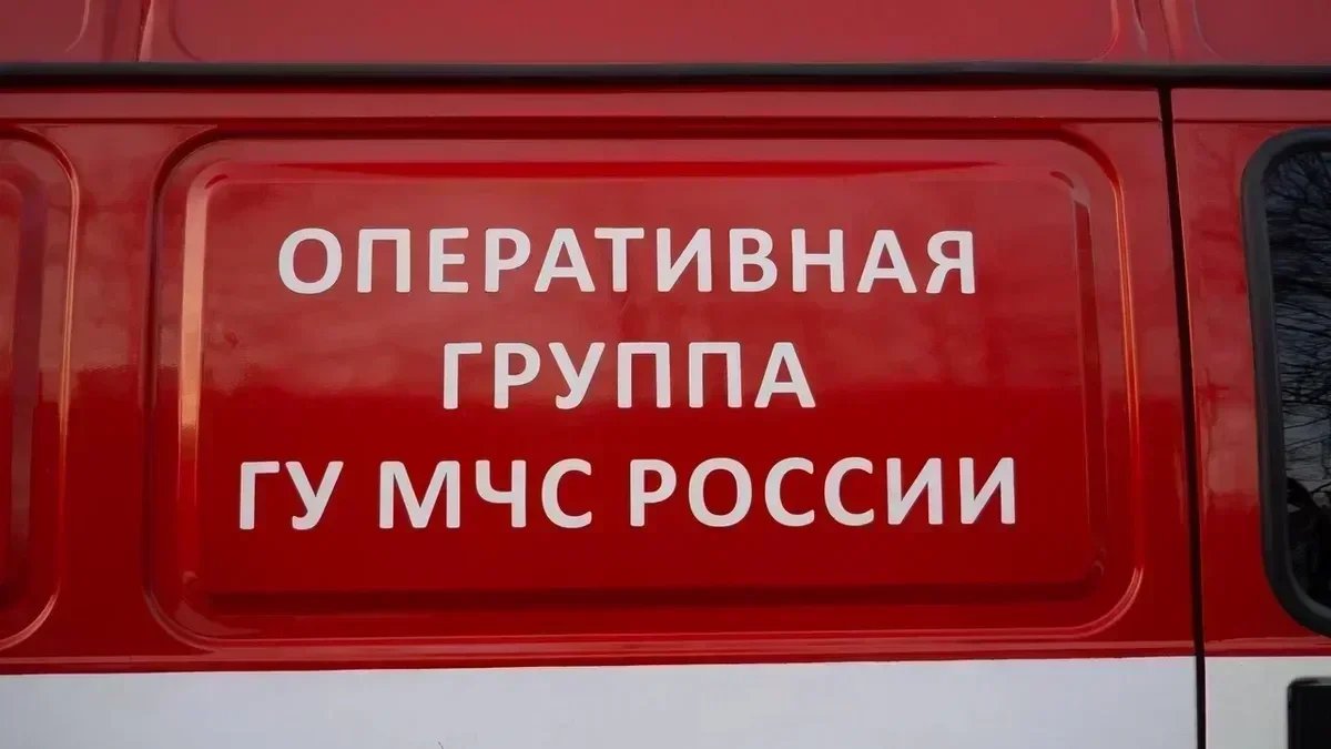 Фото: Дмитрий Абрамов / МР7