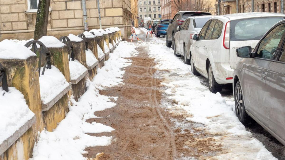 Две пешеходные дорожки сделают в Коломягах