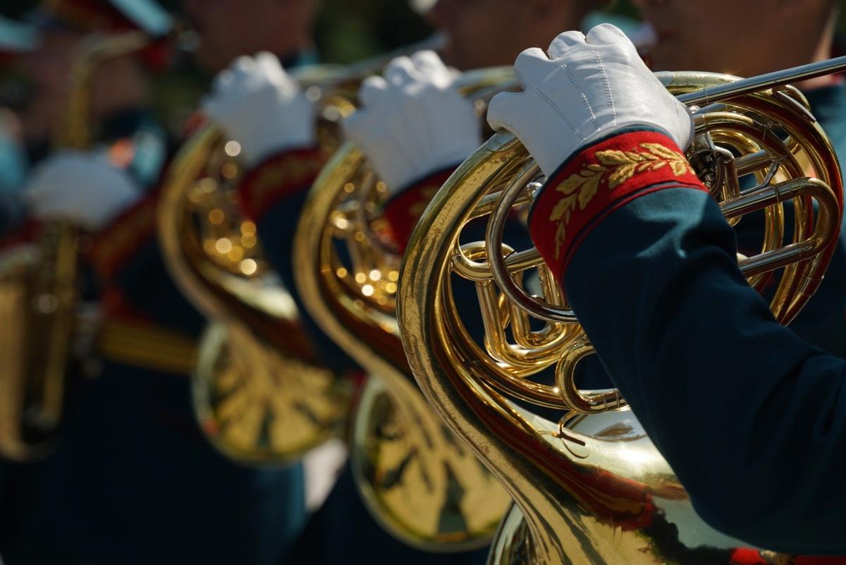 Фото: Павел Борисенко / МР7