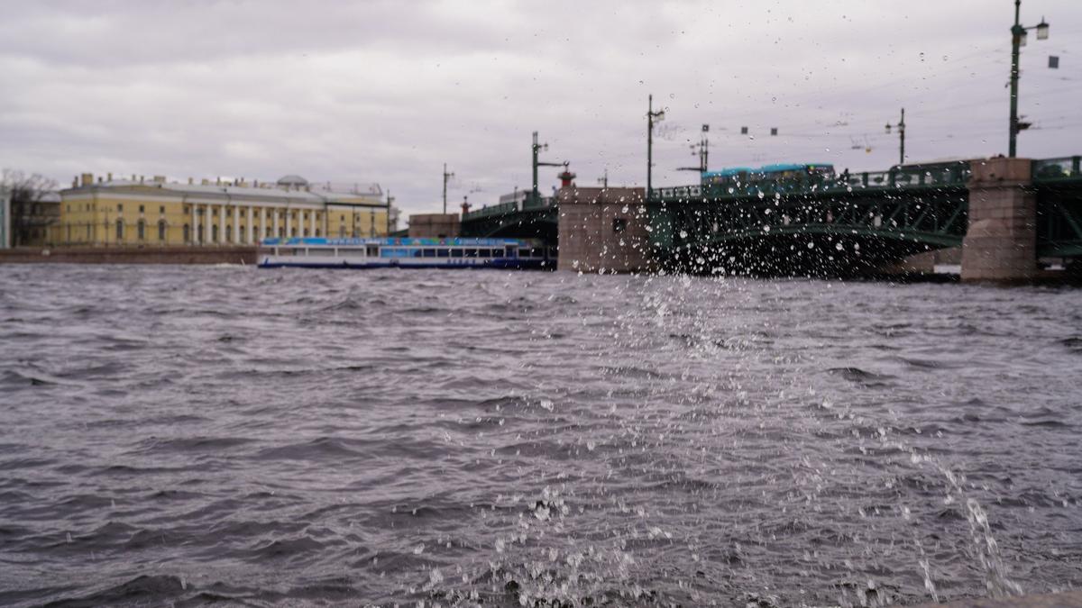 Фото: Виктория Арефьева / MR7