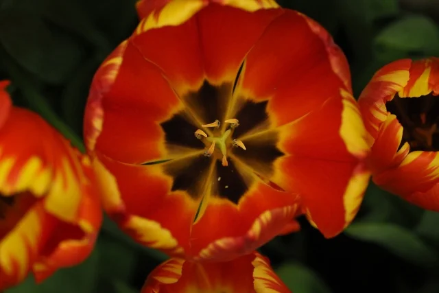 ZOV_000076.JPG