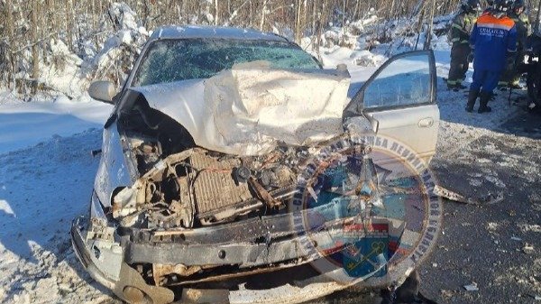 Фото: telegram-канал Аварийно-спасательной службы Ленинградской области