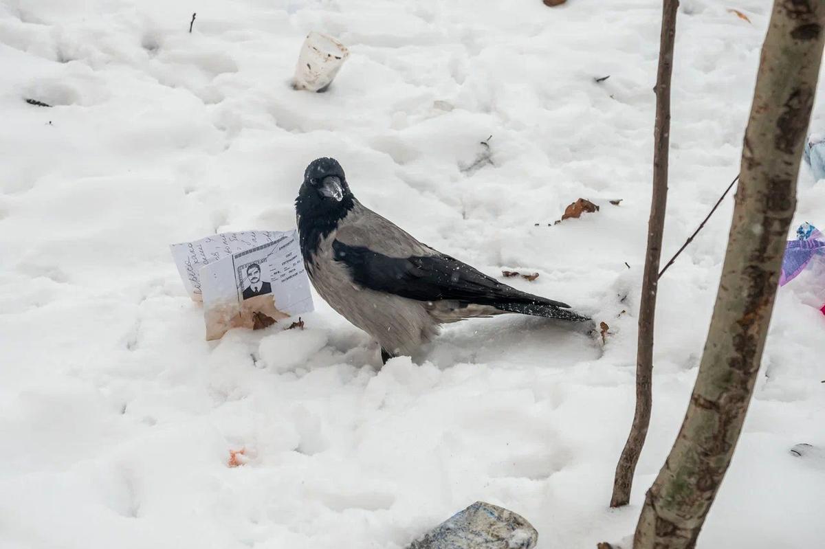 Фото: Олег Золото / MR7