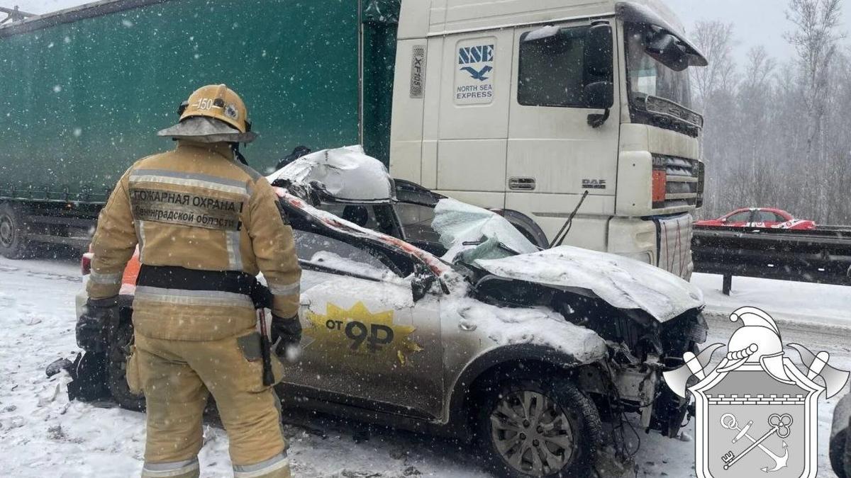 Фото: ГКУ «Леноблпожспас»