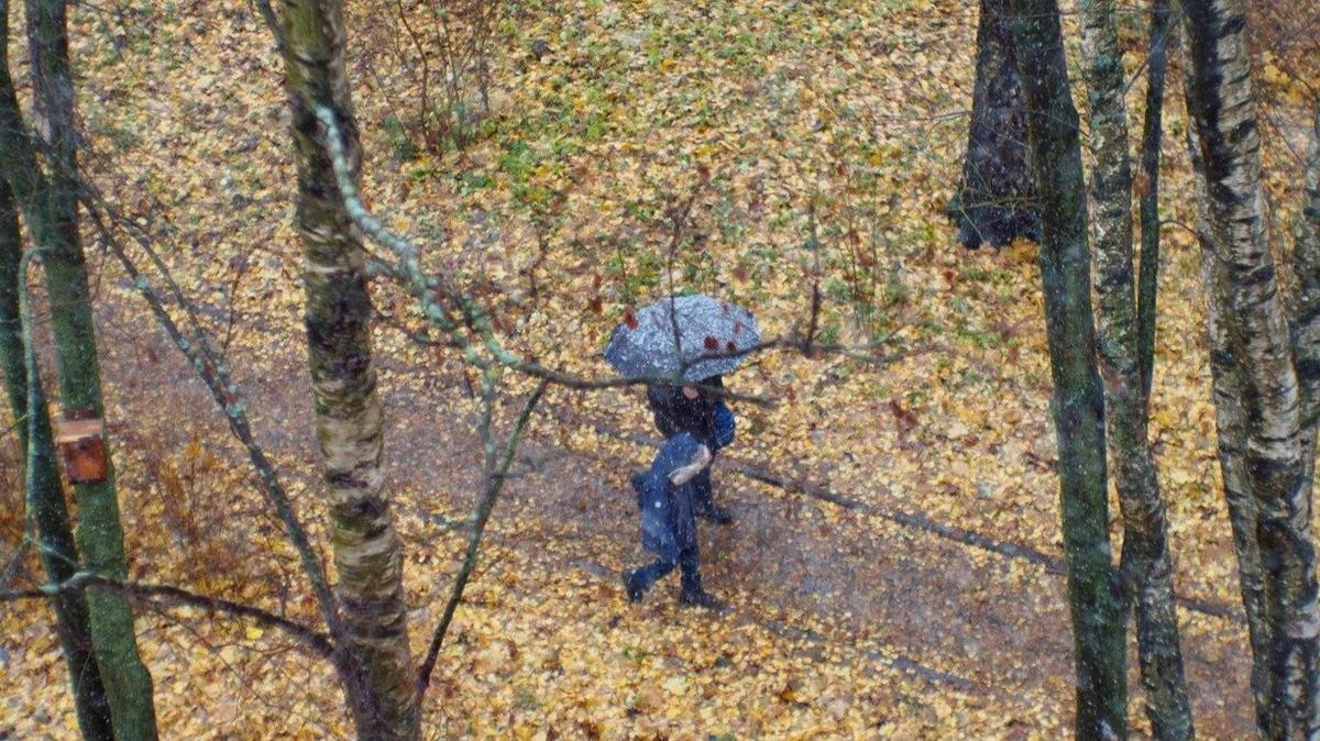 Фото: Дмитрий Абрамов / MR7