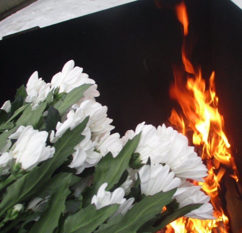 Фото: Северо-Западное управление Россельхознадзора