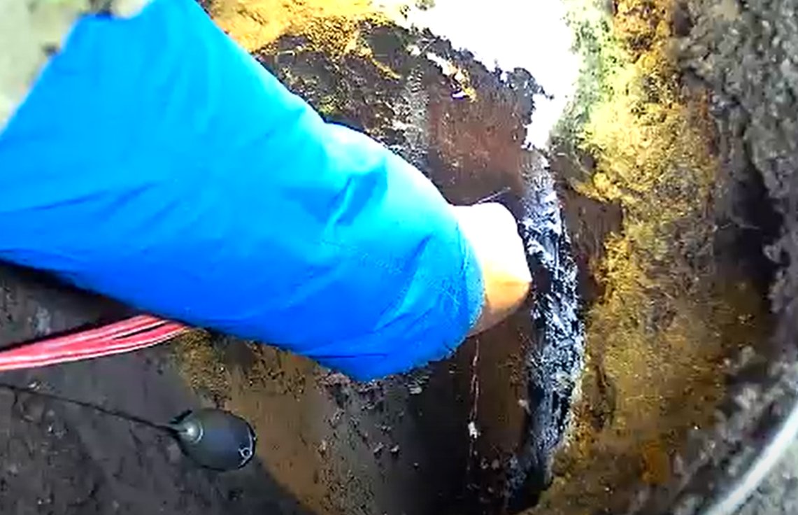 Скриншот: видео из группы «Кошкиспас»