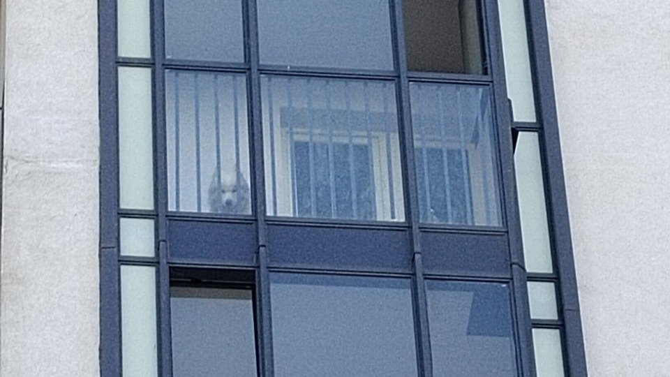 Фото: Алина Волкова