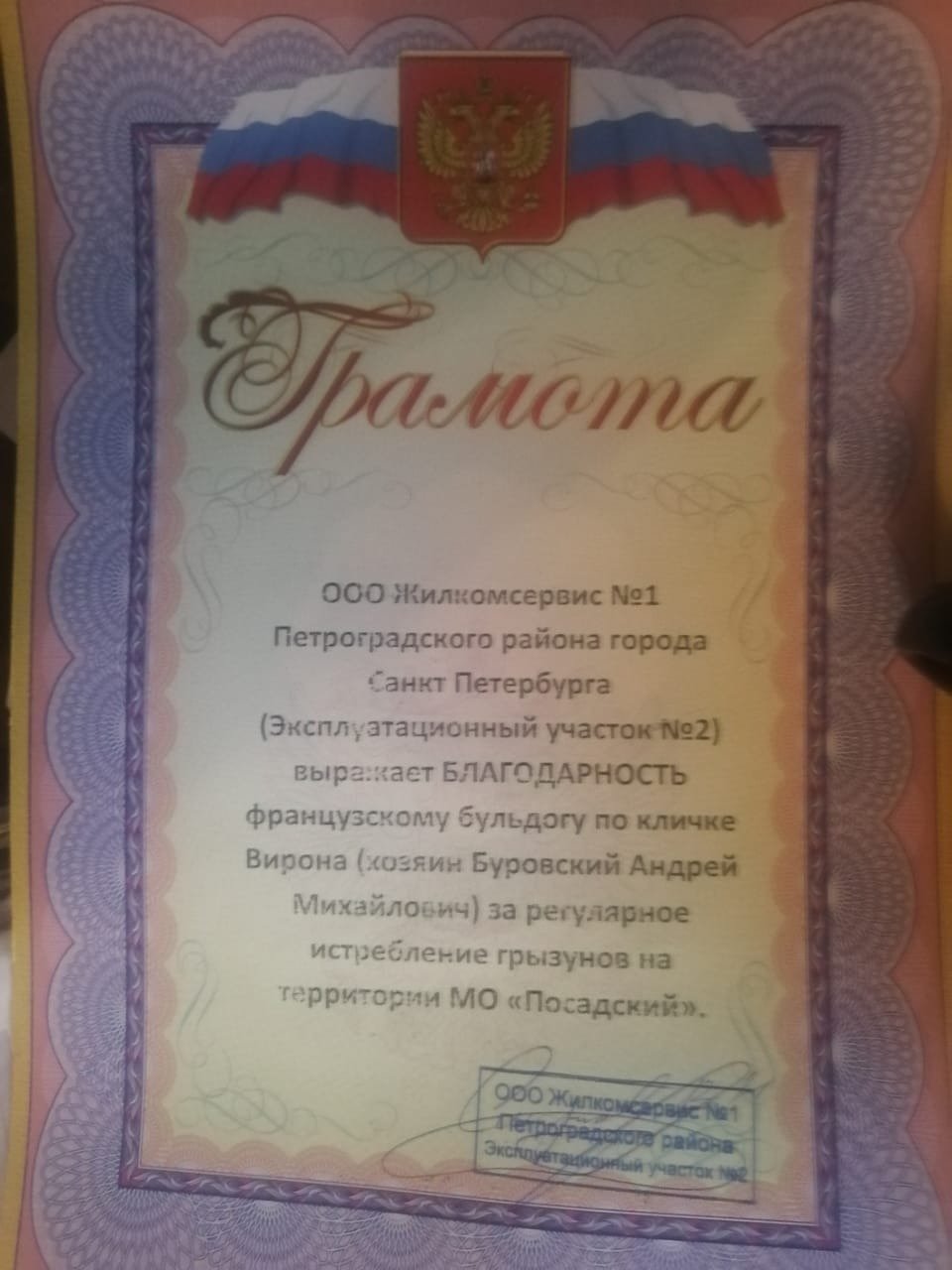 Фото: Андрей Буровский