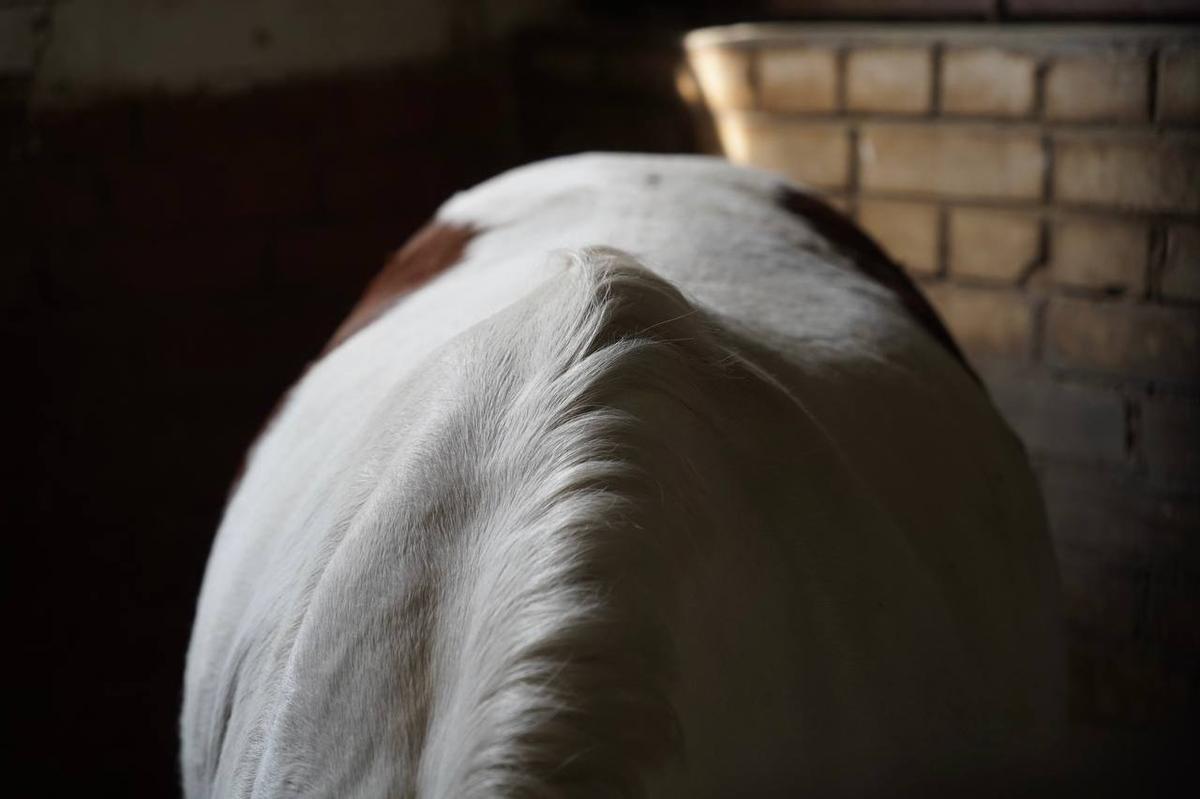 Фото: Павел Борисенко / МР7