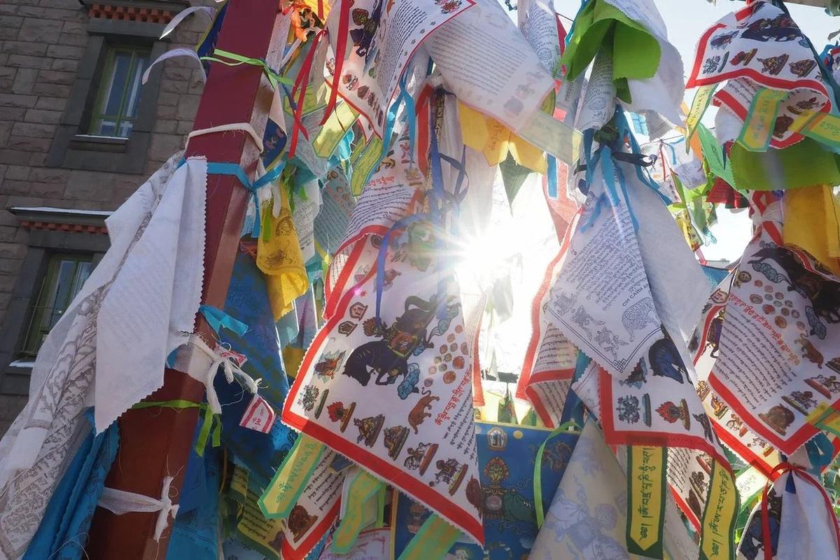 Фото: Олег Золото / MR7