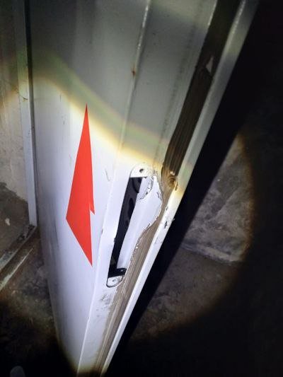 Фото: пресс-служба Росгвардии по городу и Ленобласти