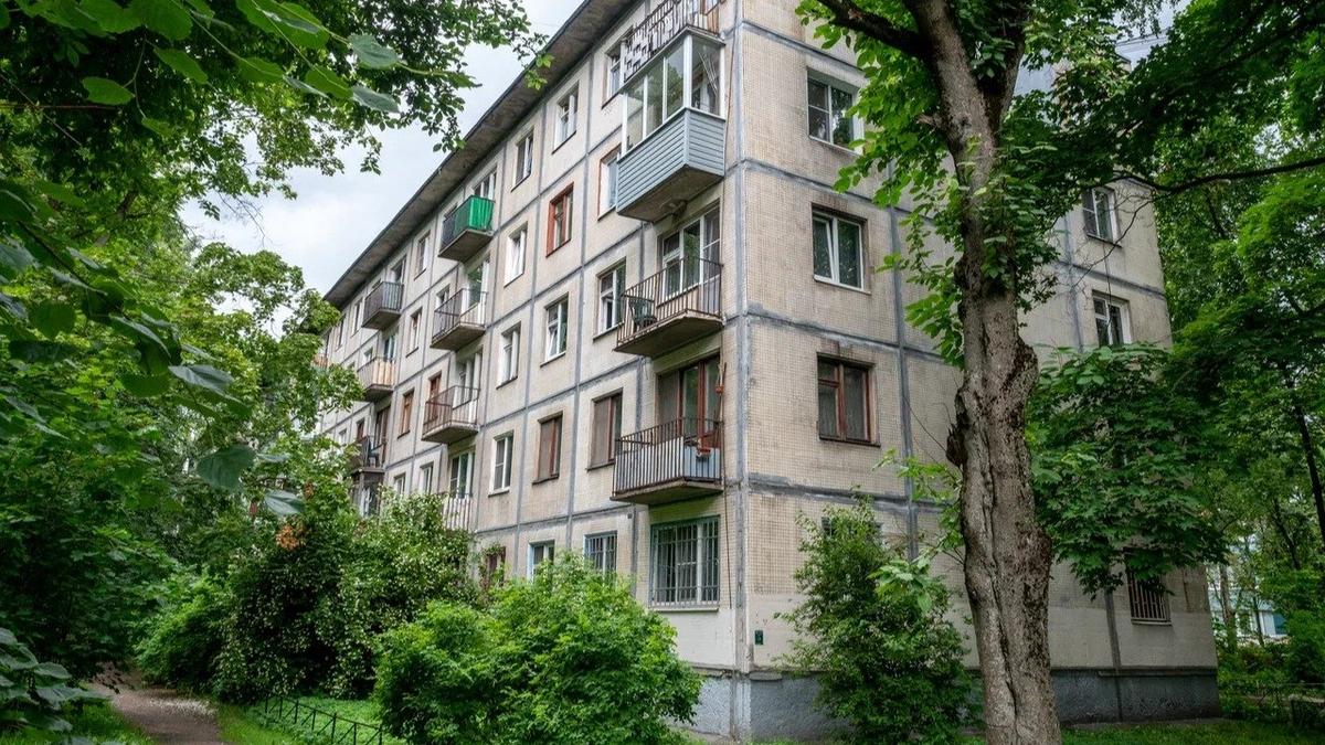 Фото: Олег Золото / MR7