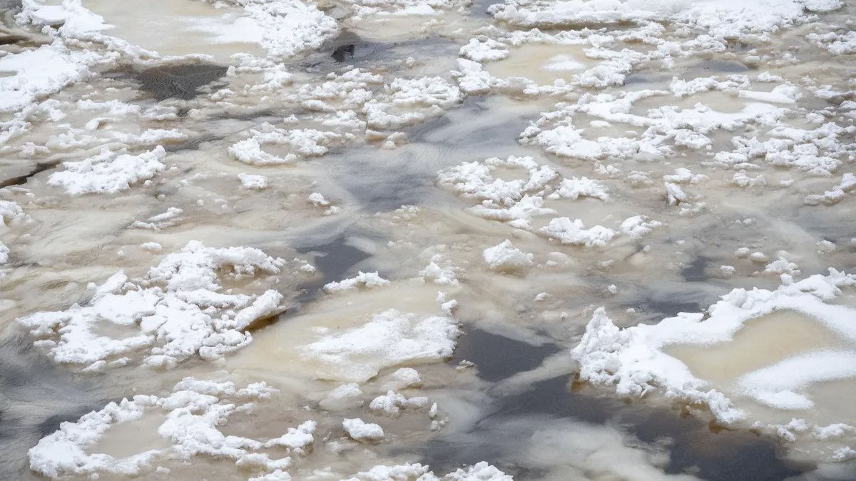 Молодой мужчина провалился под лёд Невы
