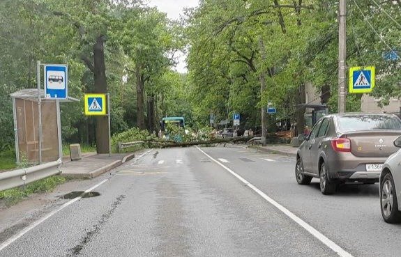 Фото: «Мегаполис | ДТП и ЧП | Cанкт-Петербург | Питер»
