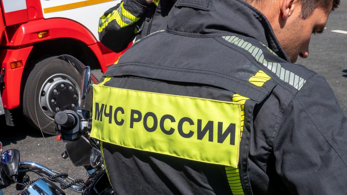 Фото: Олег Золото / МР7