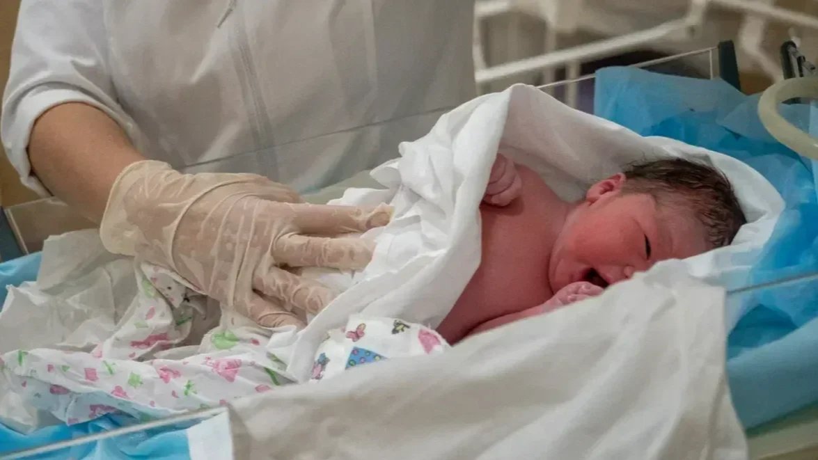 Фото: Олег Золото / MR7