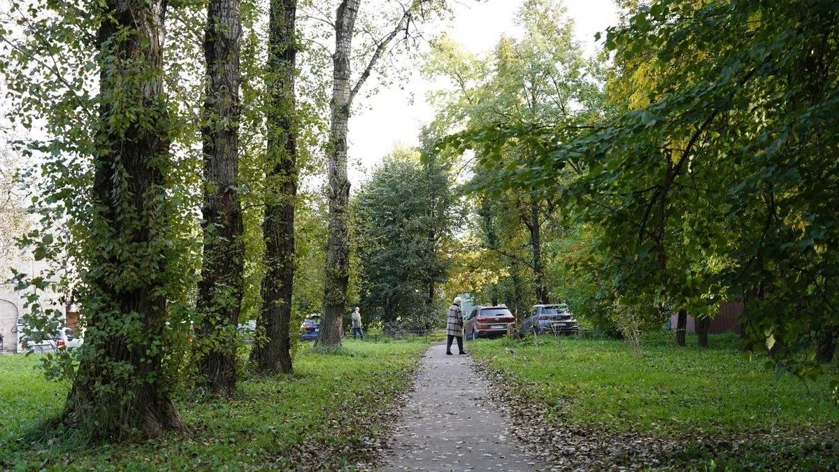 Фото: Павел Борисенко / MR7