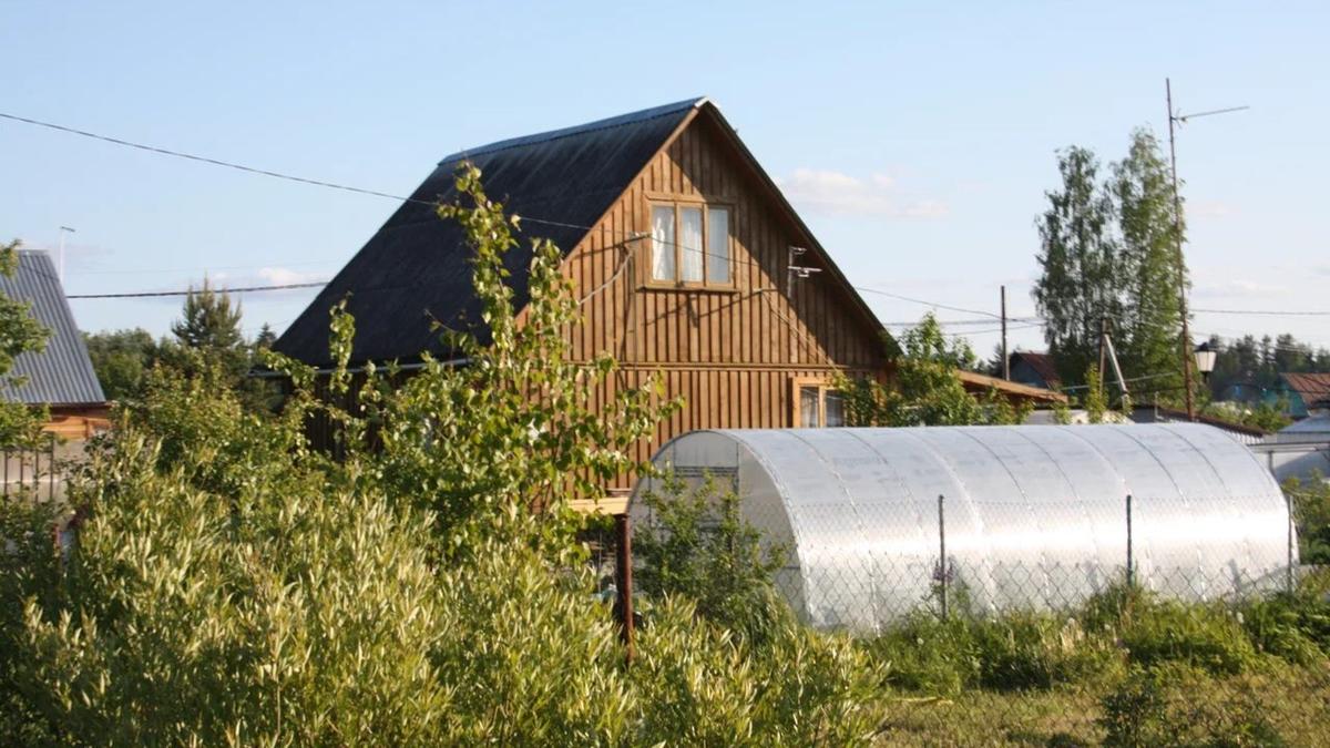 Фото: Елена Михина / MR7