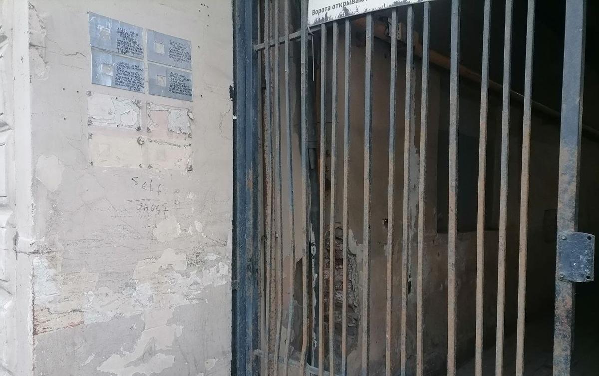 Фото: Елена Михина / МР7