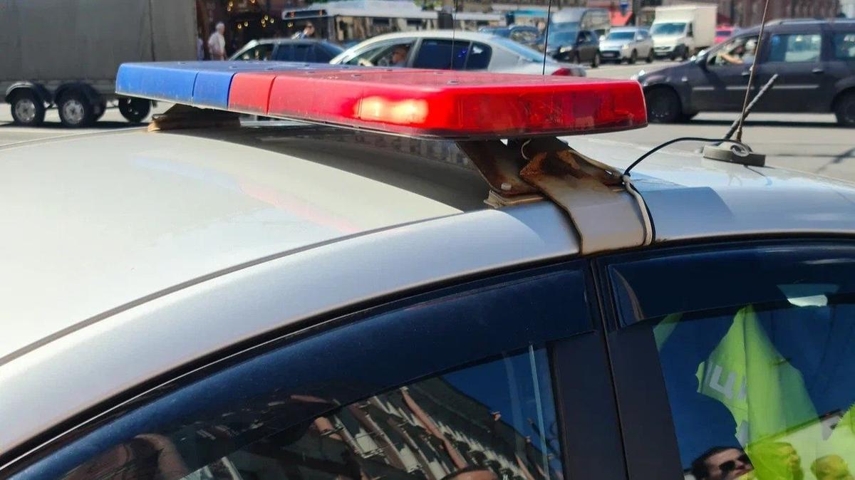 Фото: Олег Золото / МР7