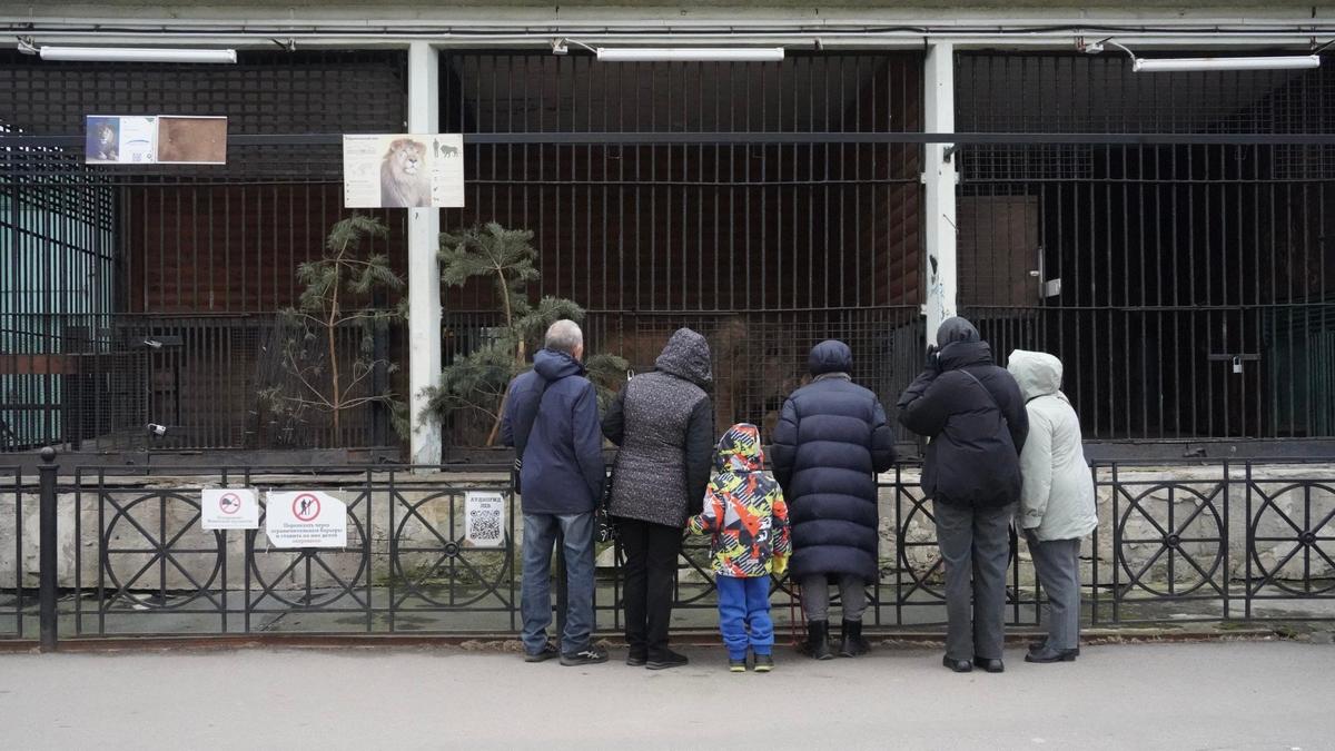 Фото: Павел Борисенко / MР7