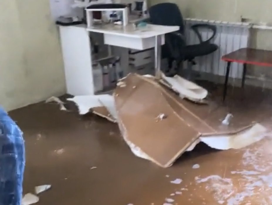 Скриншот видео из группы «Гражданин Пушкин» во «ВКонтакте»