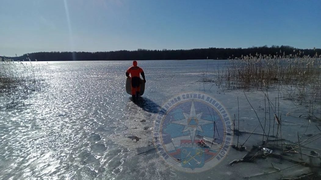 Фото: аварийно-спасательная служба Ленобласти
