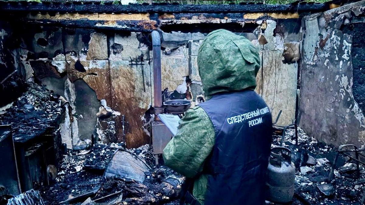 Фото: Следком Ленинградской области