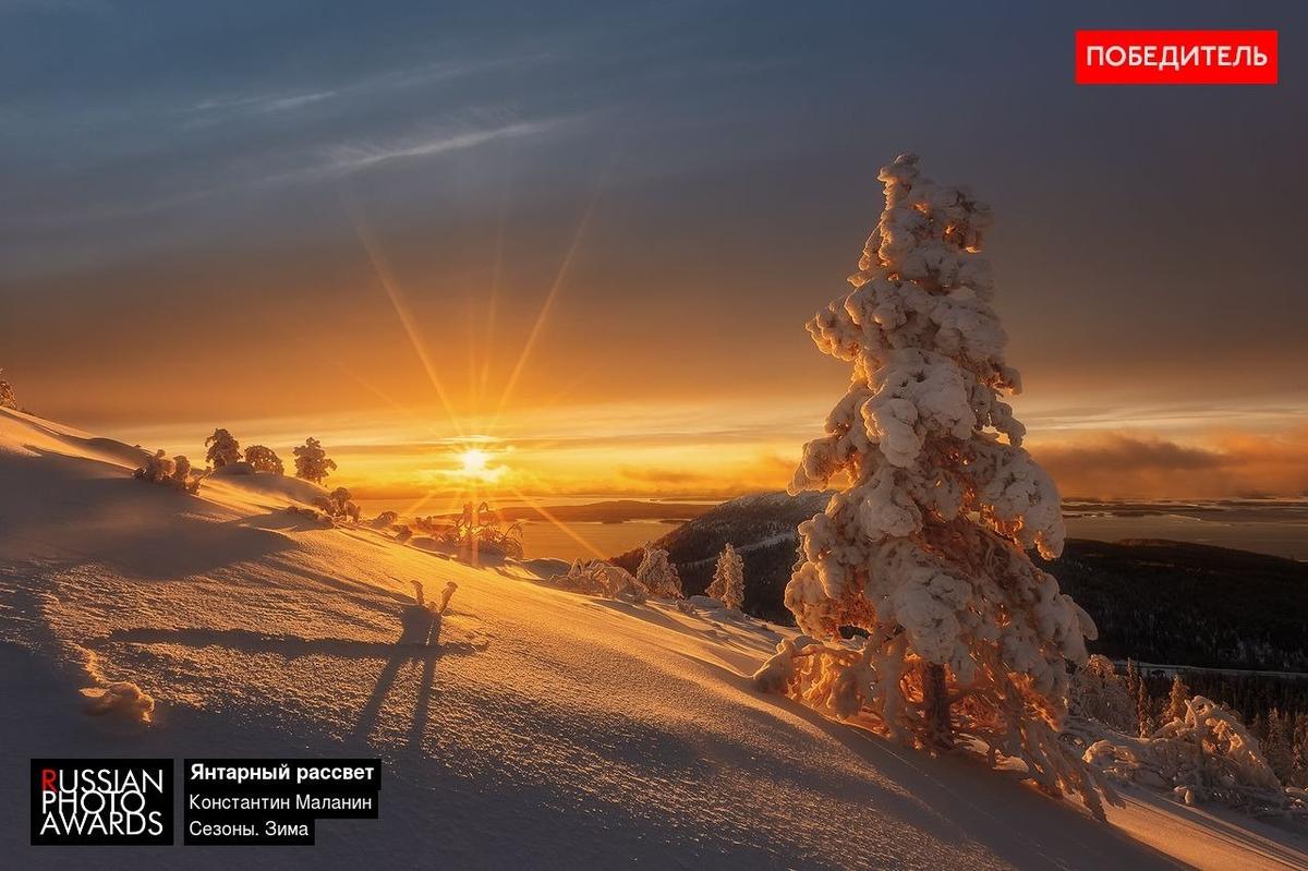 Фото предоставлено Russian Photo Awards