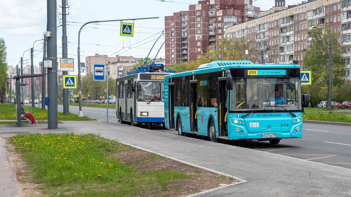 Фото: Олег Золото / МР7