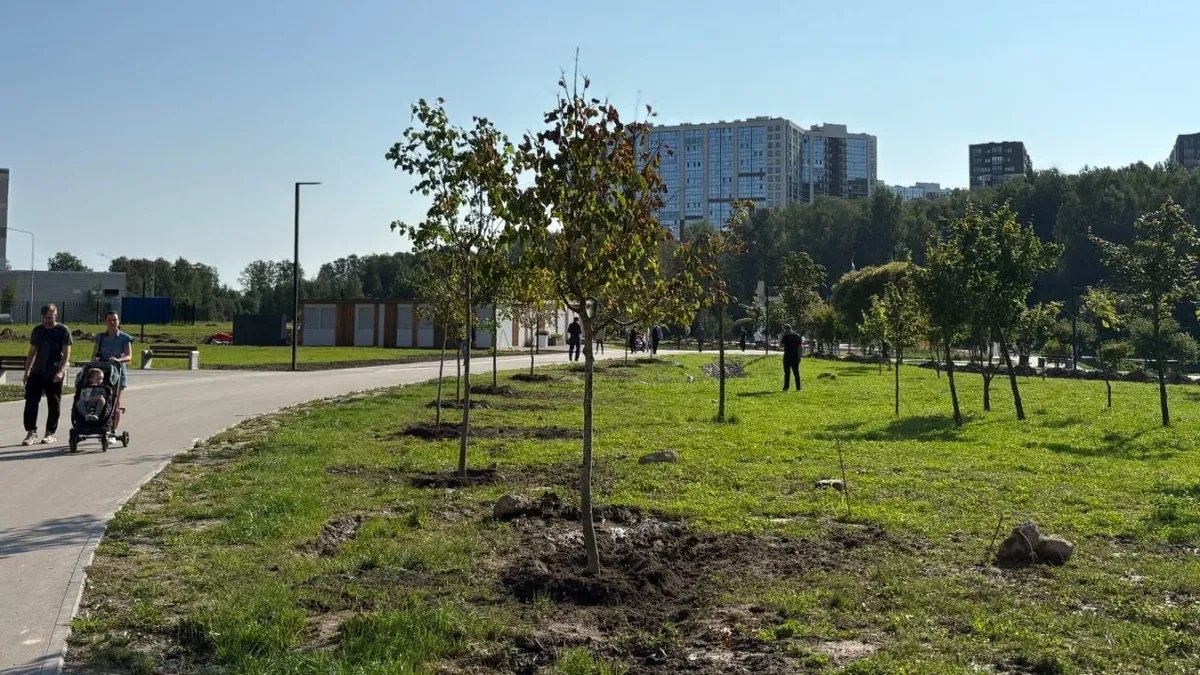 В Красногвардейском районе высадят более 400 деревьев и 2000 кустарников