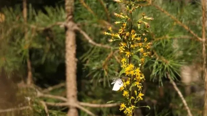 Фото: Мария Стратан