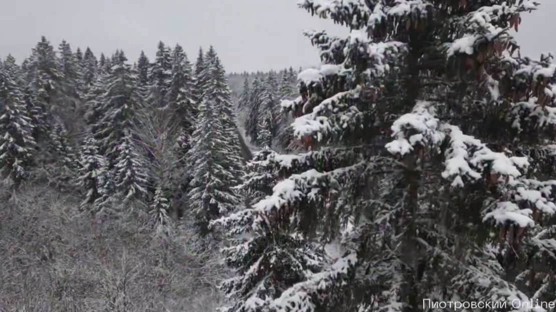 Видео: Борис Пиотровский