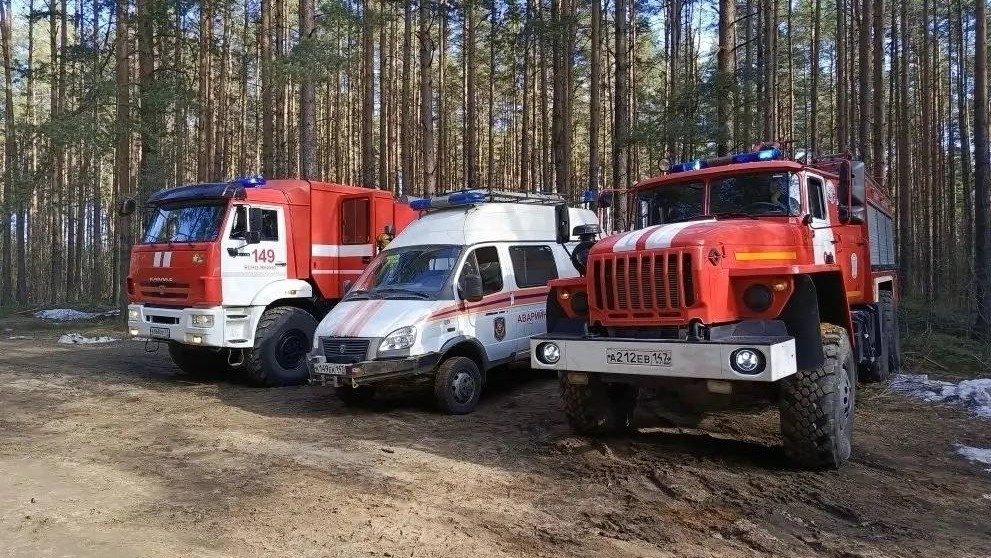 Фото: пресс-служба администрации Ленобласти