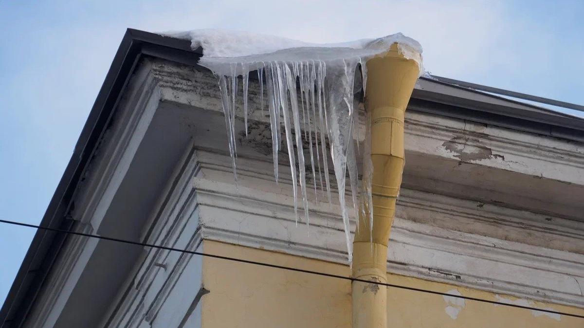 Фото: Дмитрий Абрамов / MR7