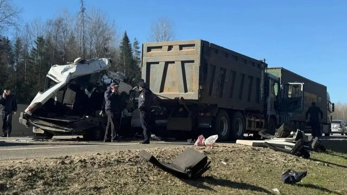 Фото: ГУ МВД по Петербургу и Ленобласти