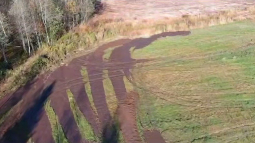 Скриншот видео: telegram-канал Светланы Радионовой