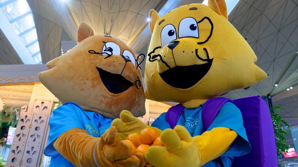 Фото: Telegram-канал аэропорта Пулково