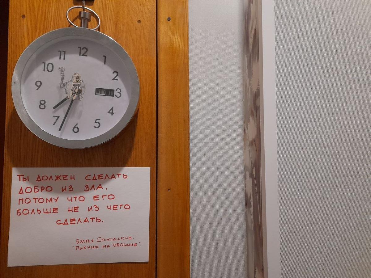 Фото: Анна Мотовилова / MR7