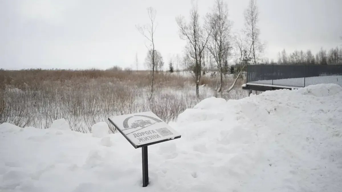 Фото: Павел Борисенко / MR7