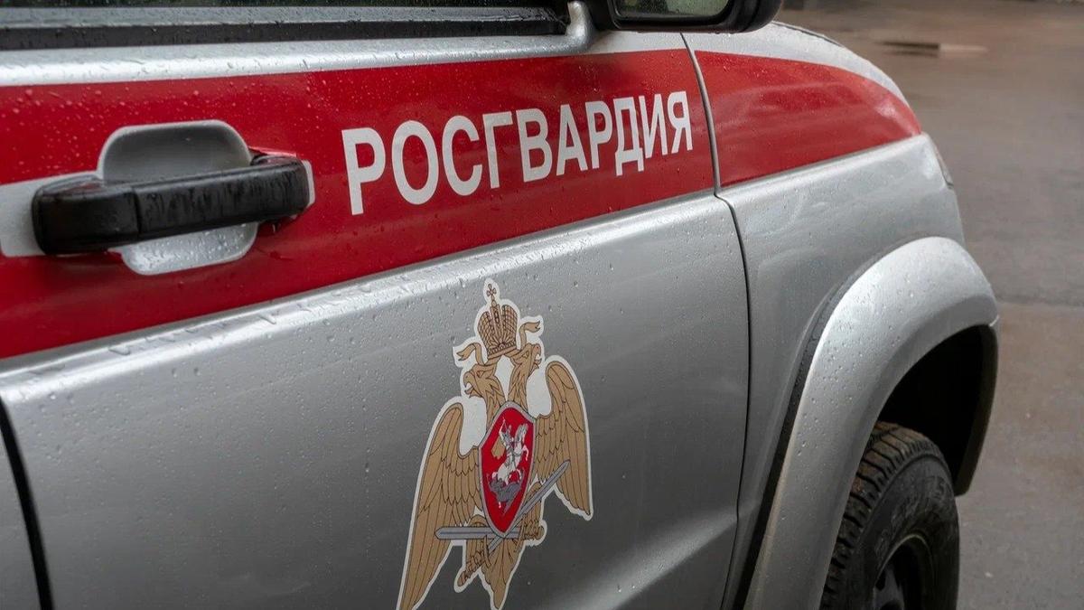 Фото: Олег Золото / МР7