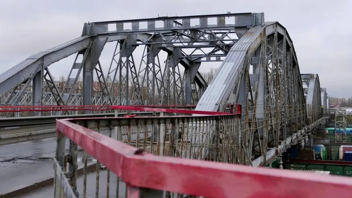 Фото: Дарья Дмитриева / MР7