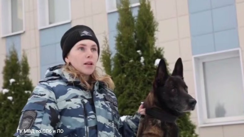 Скриншот видео: МВД по Петербургу и Ленобласти