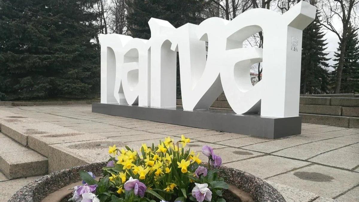 Фото: Анастасия Кузнецова / МР7