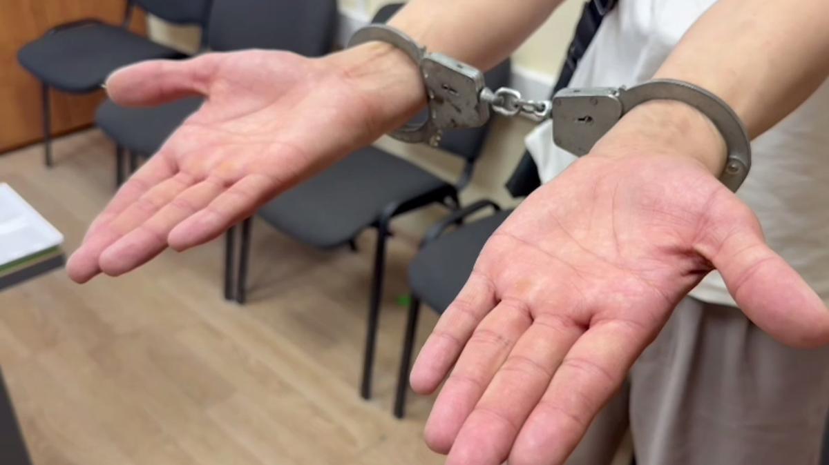 Скриншот видео: МВД по Петербургу и Ленобласти